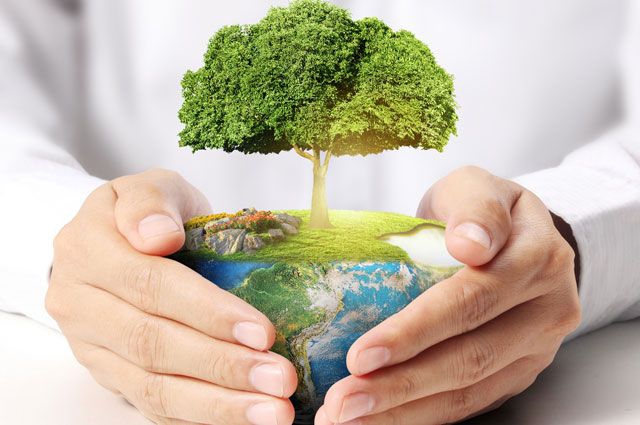 В Алматы пройдет экологическая акция «Recycle Birge»