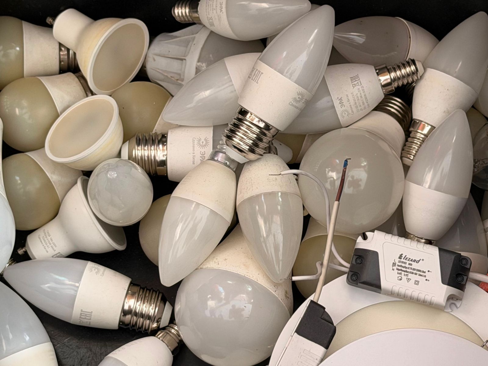 Алматыда Recycle Бірге эконауқаны өтеді